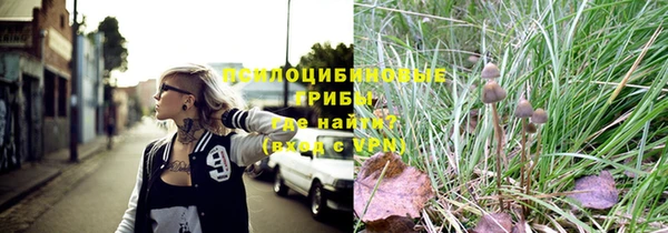 кокс Абаза