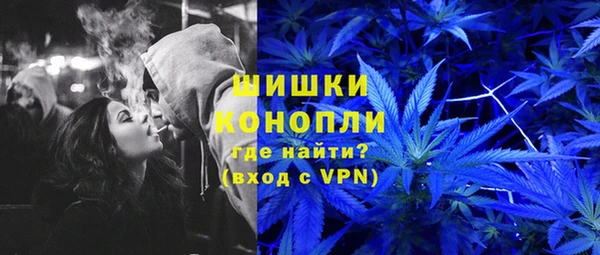 индика Абдулино