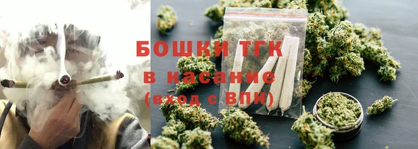 индика Абдулино